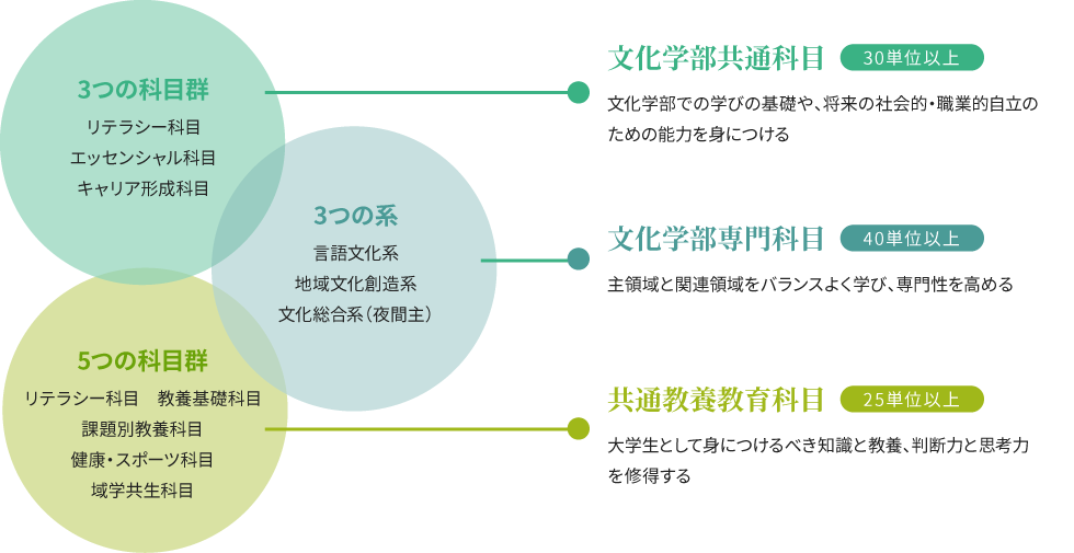 カリキュラムの構造の画像