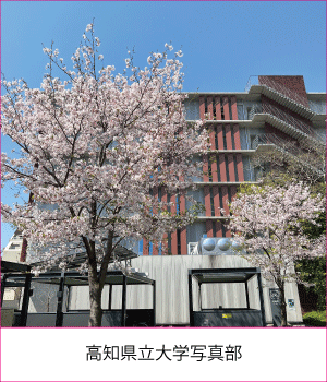 高知県立大学写真部サムネイル画像