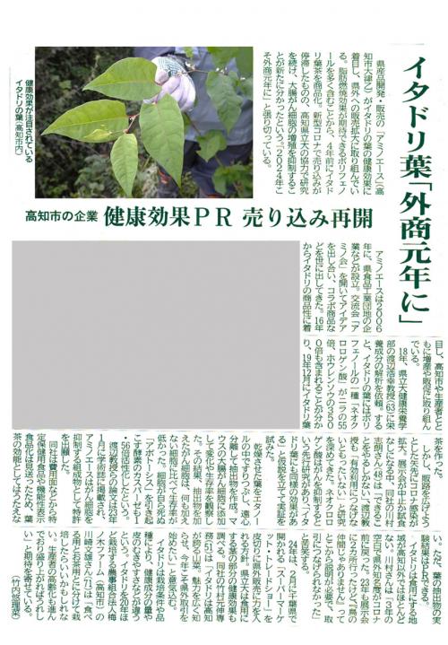 高知新聞記事