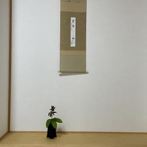 裏千家茶道部紹介画像２
