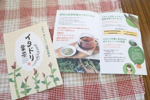 イタドリ茶葉