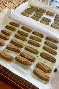 おおとよ探検隊1108