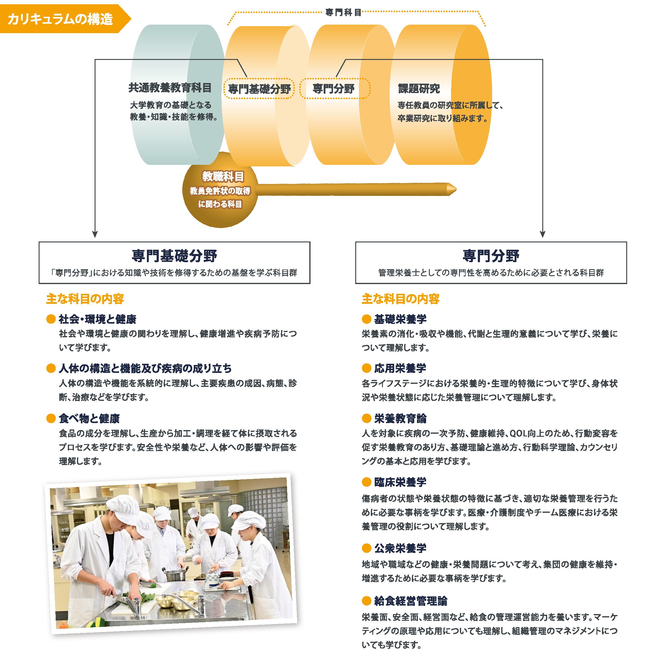 カリキュラムの構造