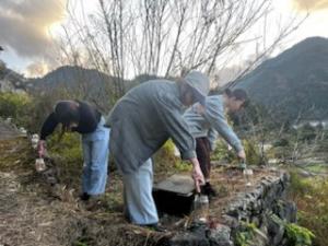 仁淀川町での活動の様子１