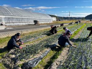 やすだでの活動の様子2