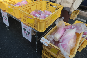 かんきもん援農部門0125