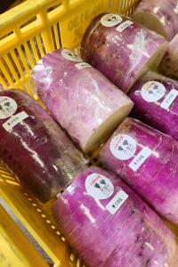 かんきもん援農部門0124