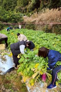 かんきもん援農部門0118
