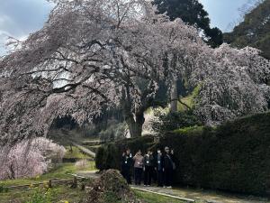 秋葉の里別枝での活動4