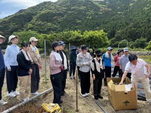 安田町でのボランティア活動の様子3