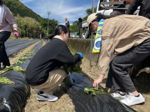 安田町でのボランティア活動の様子4