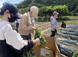 安田町でのボランティア活動の様子7