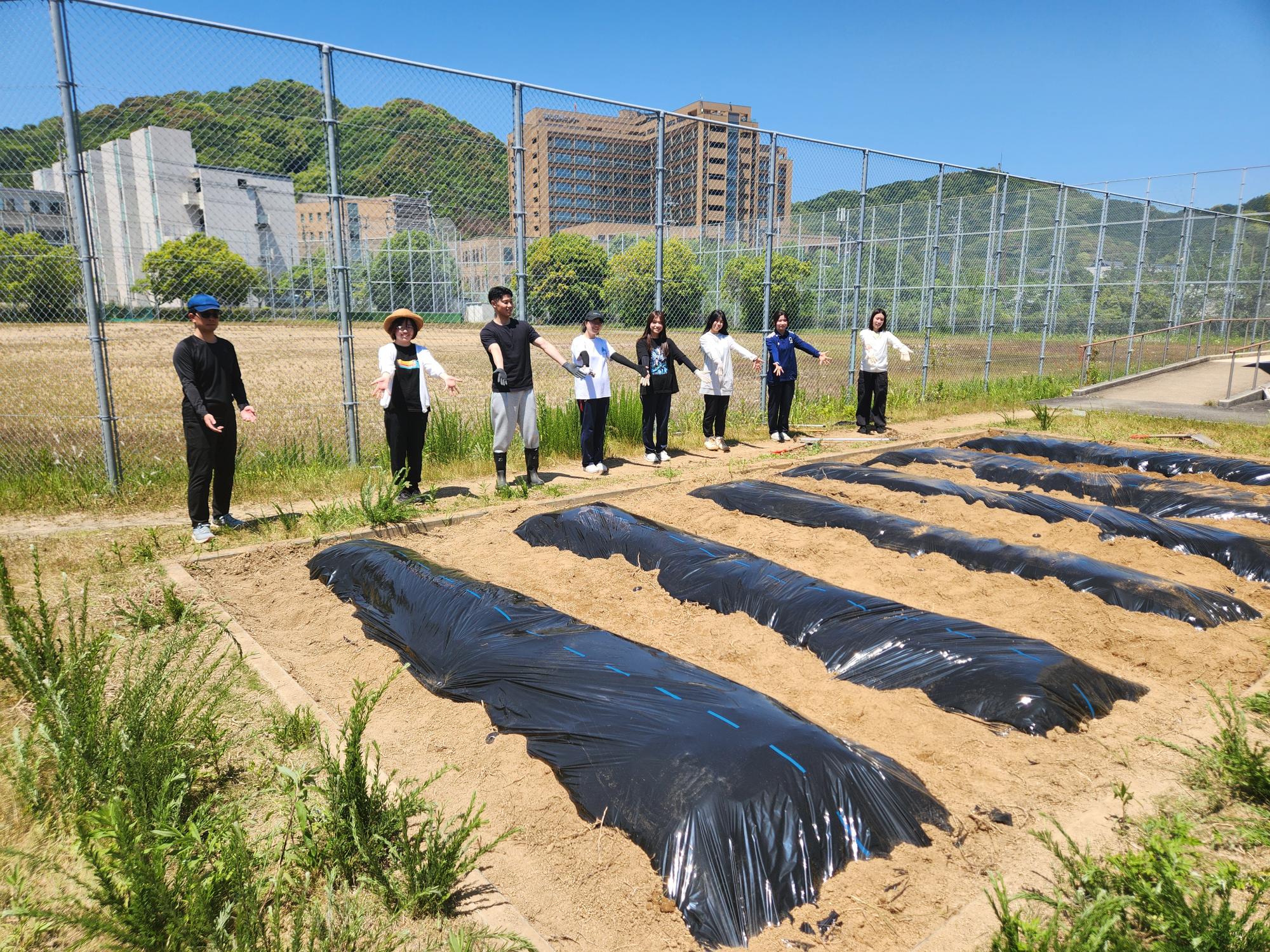 畑づくり④