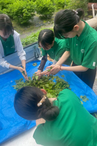 おおとよ探検隊