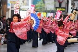 よさこい祭りの画像6