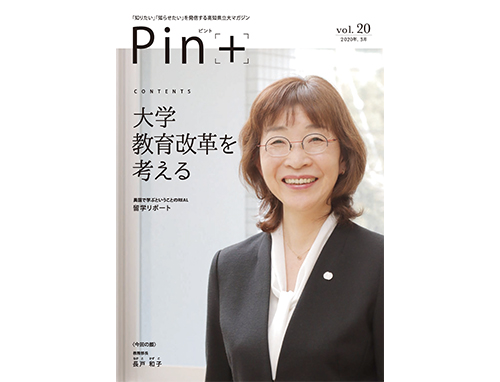 Pin+vol.20