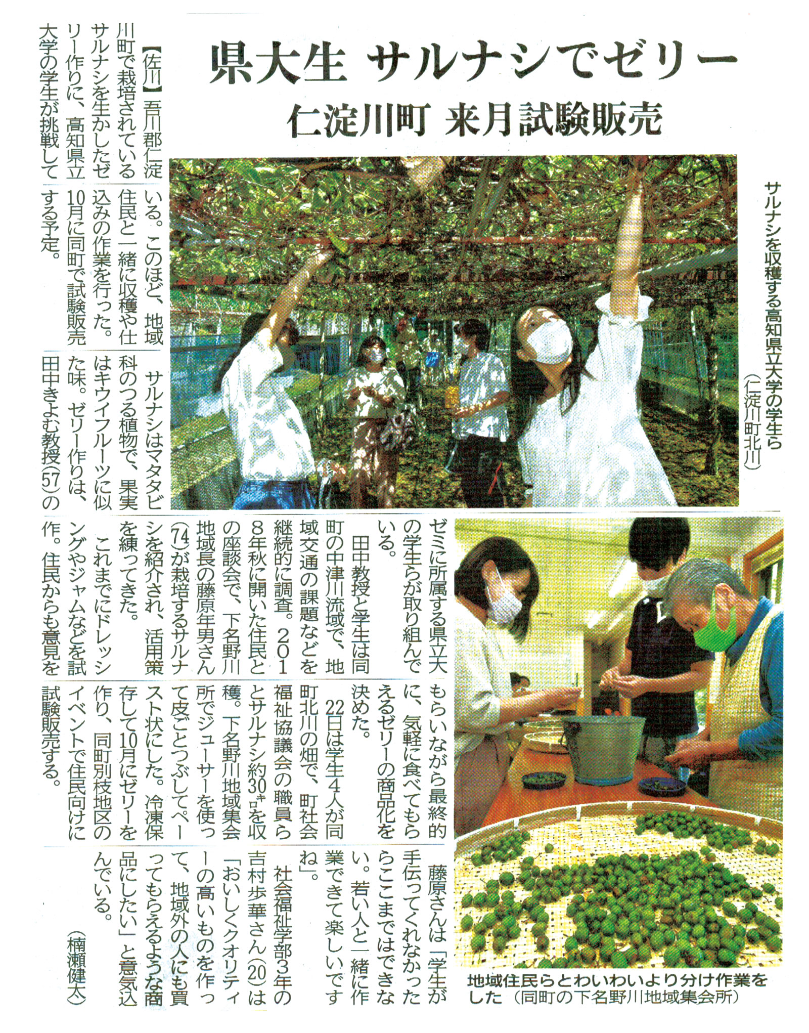「県大生　サルナシでゼリー」高知新聞記事の画像