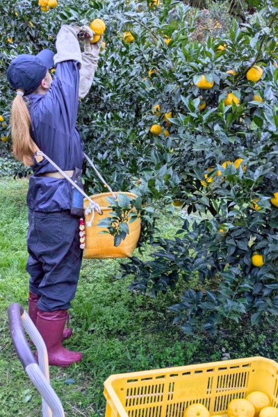 かんきもん援農部門11月