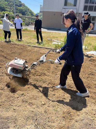 畑づくり①